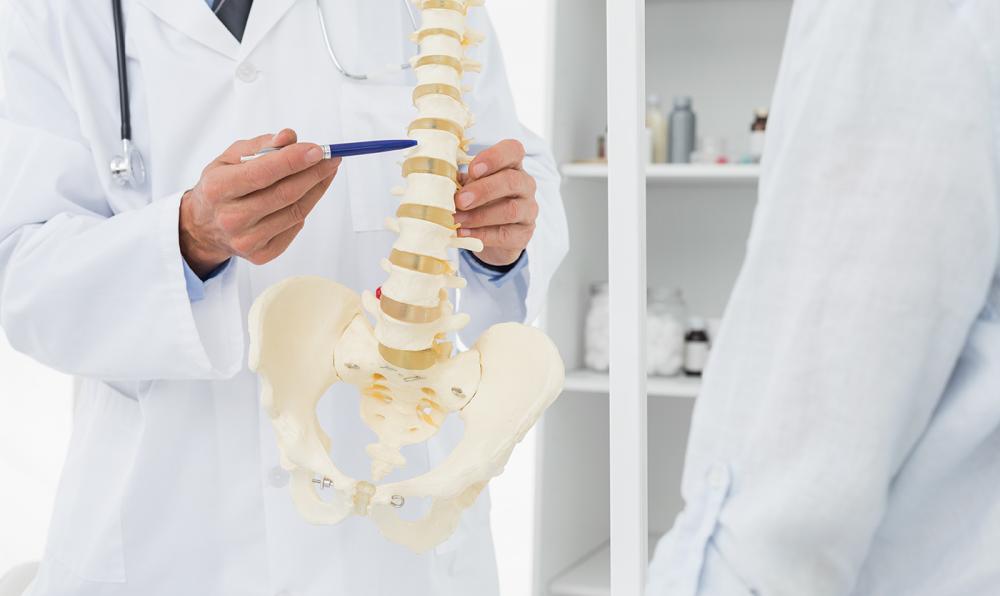 West Babylon chiropractor showing patient spine model